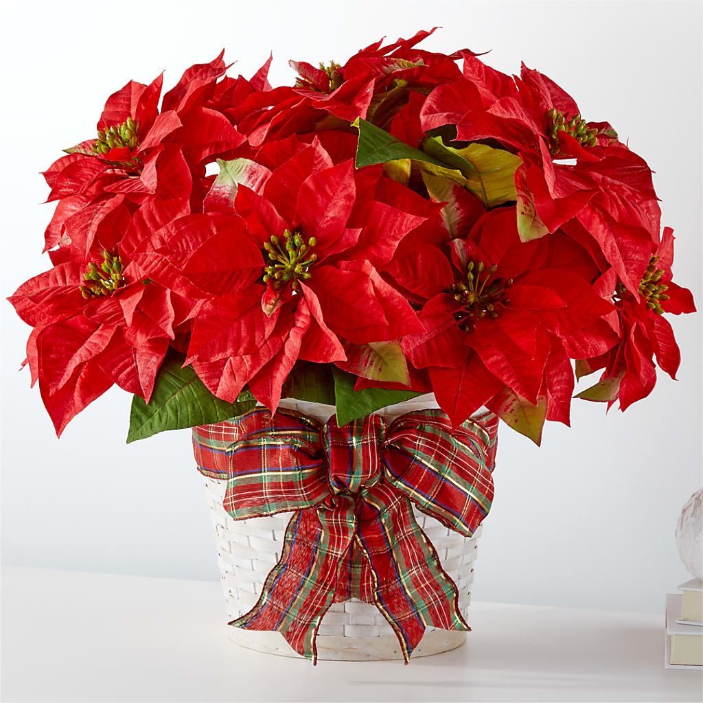 Happiest Holidays Poinsettia – Midnight Flowers And Events Llc, Lillington NC