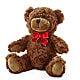 Adorable Plush Bear – Midnight Flowers And Events Llc, Lillington NC