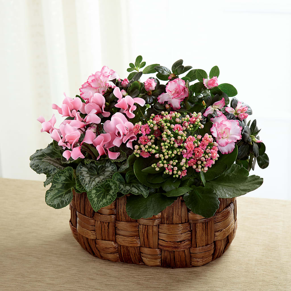Pink Assortment – Midnight Flowers And Events Llc, Lillington NC