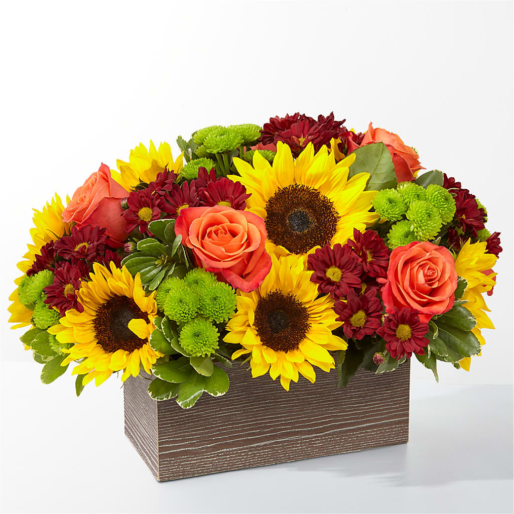 Happy Harvest Garden – Midnight Flowers And Events Llc, Lillington NC