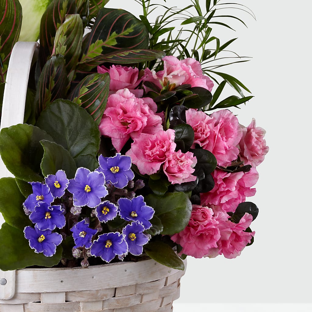 Peaceful Garden Planter – Midnight Flowers And Events Llc, Lillington NC
