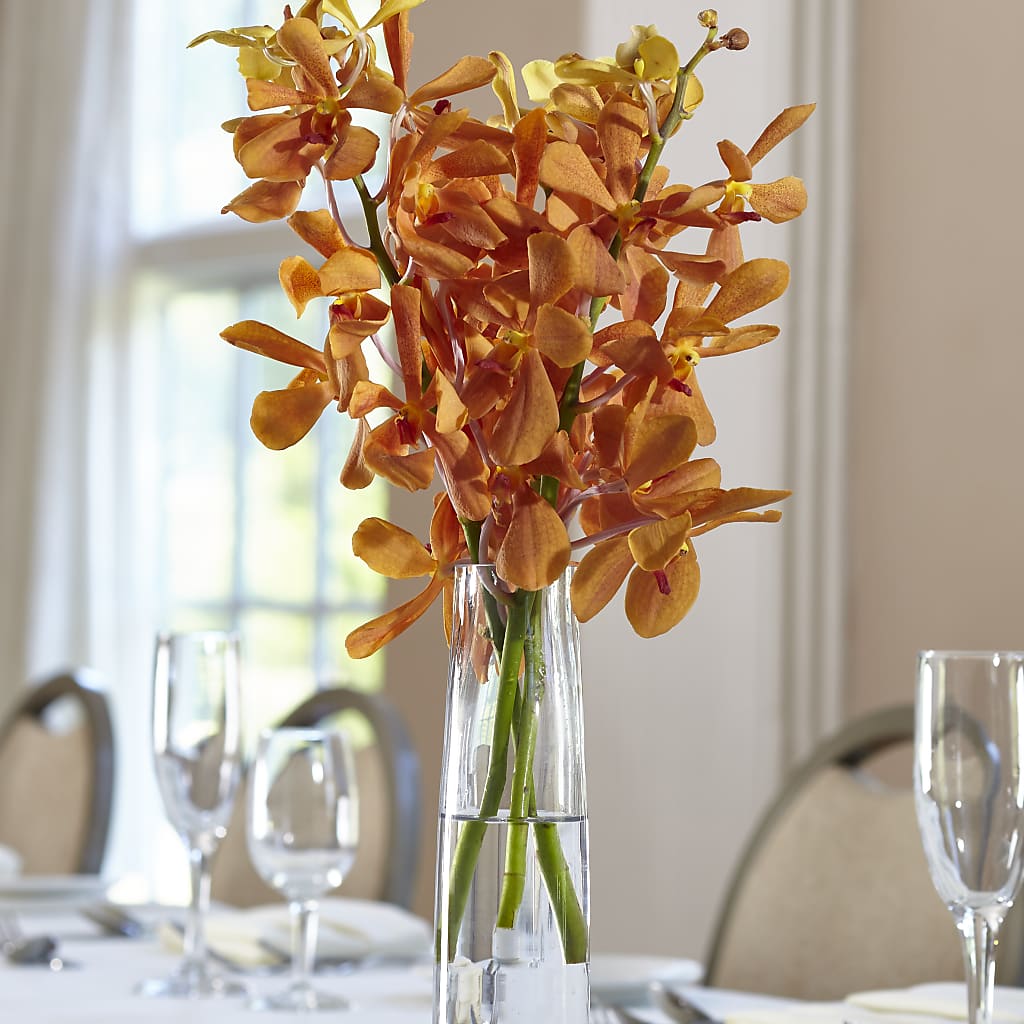 Orange Mokara Bud Vase – Midnight Flowers And Events Llc, Lillington NC