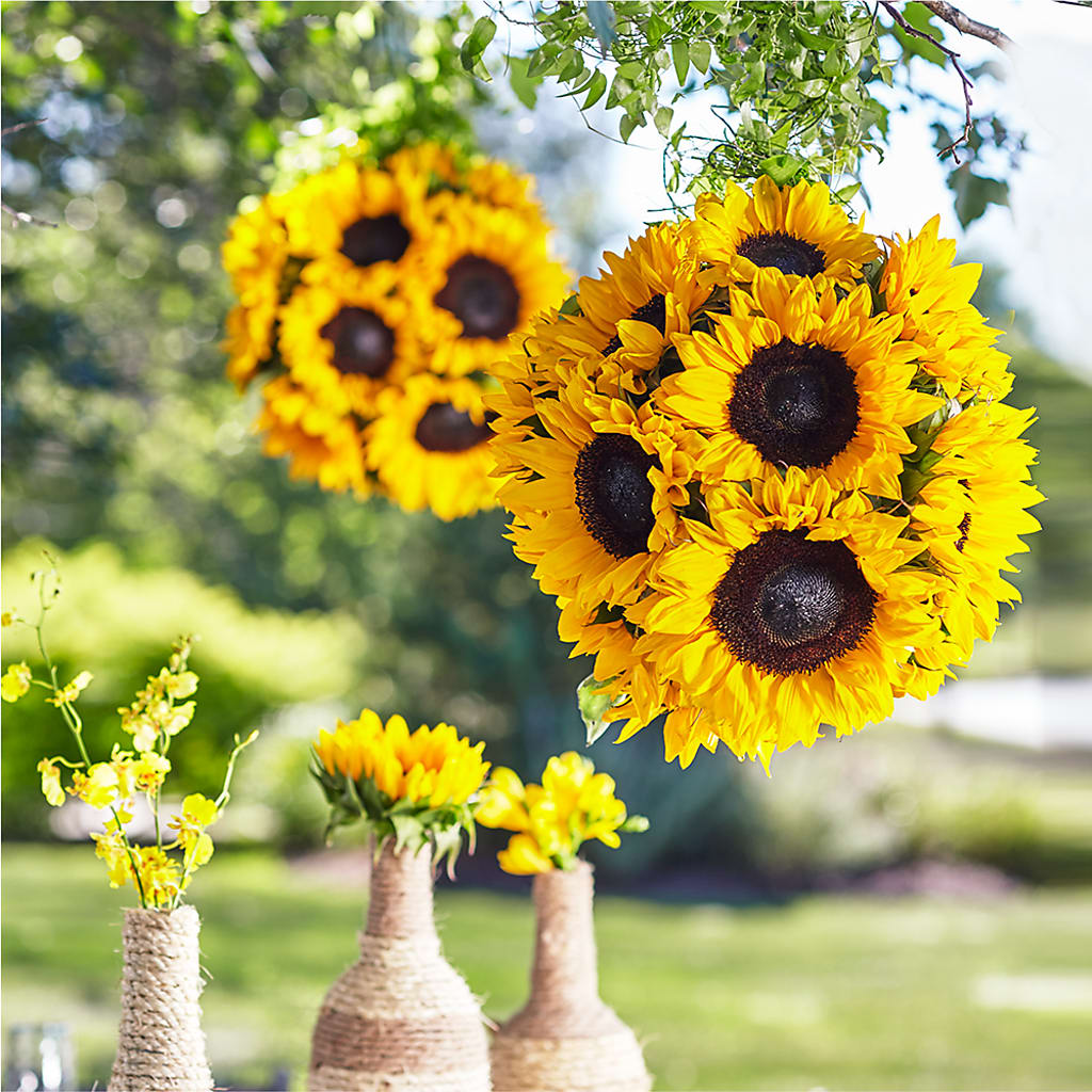 Sublime Garden Hanging Arrangement – Midnight Flowers And Events Llc, Lillington NC