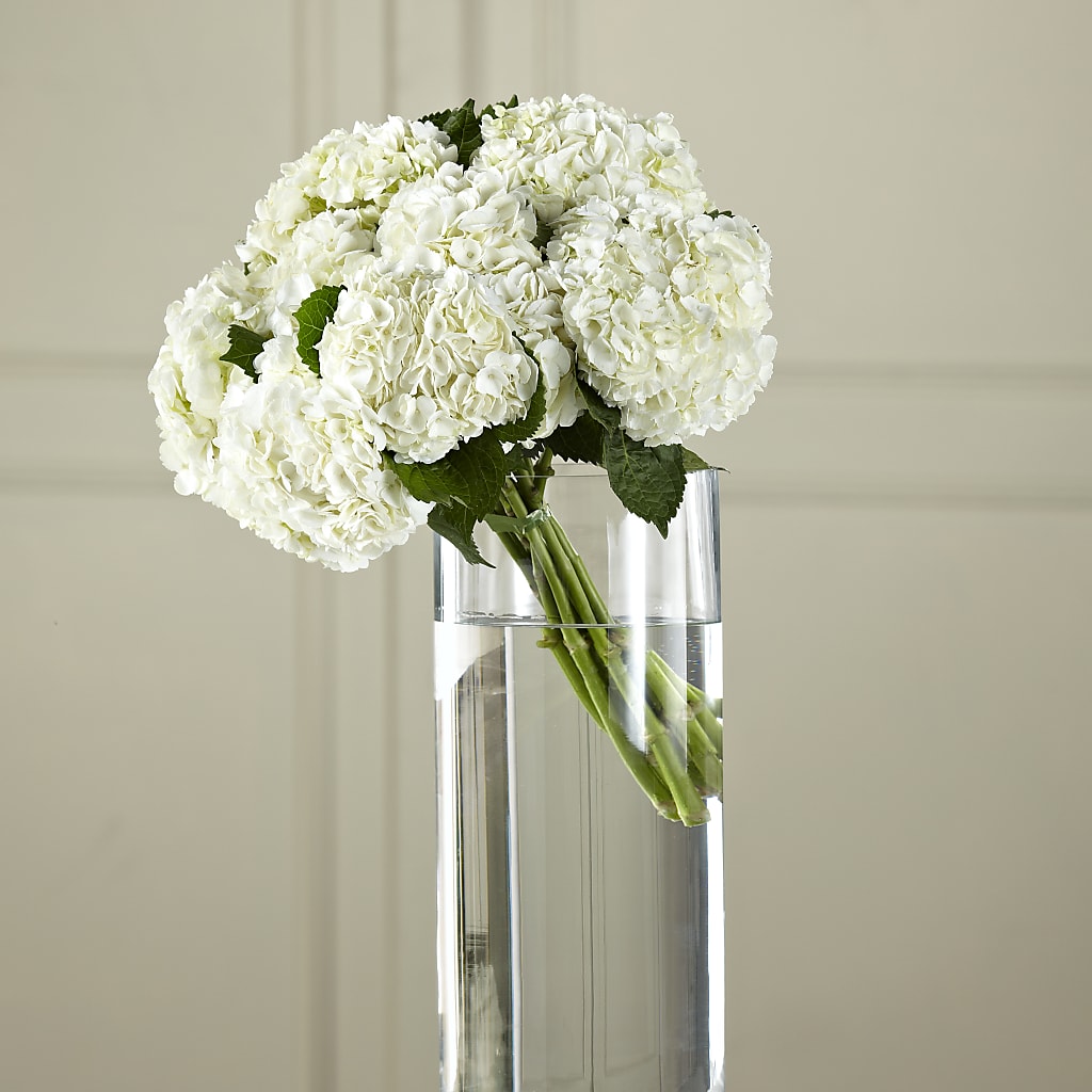 White Hydrangea Hand-Tied Bouquet – Midnight Flowers And Events Llc, Lillington NC