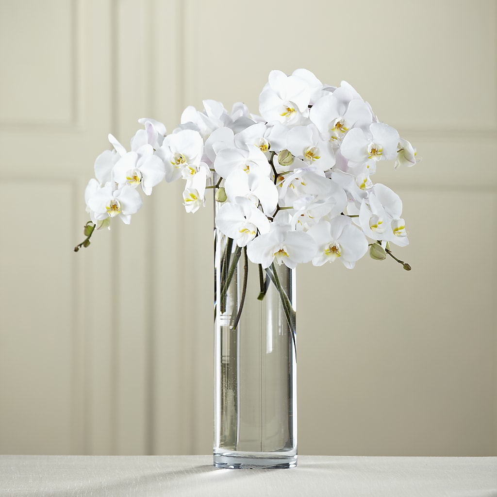 White Phalaenopsis Bouquet – Midnight Flowers And Events Llc, Lillington NC