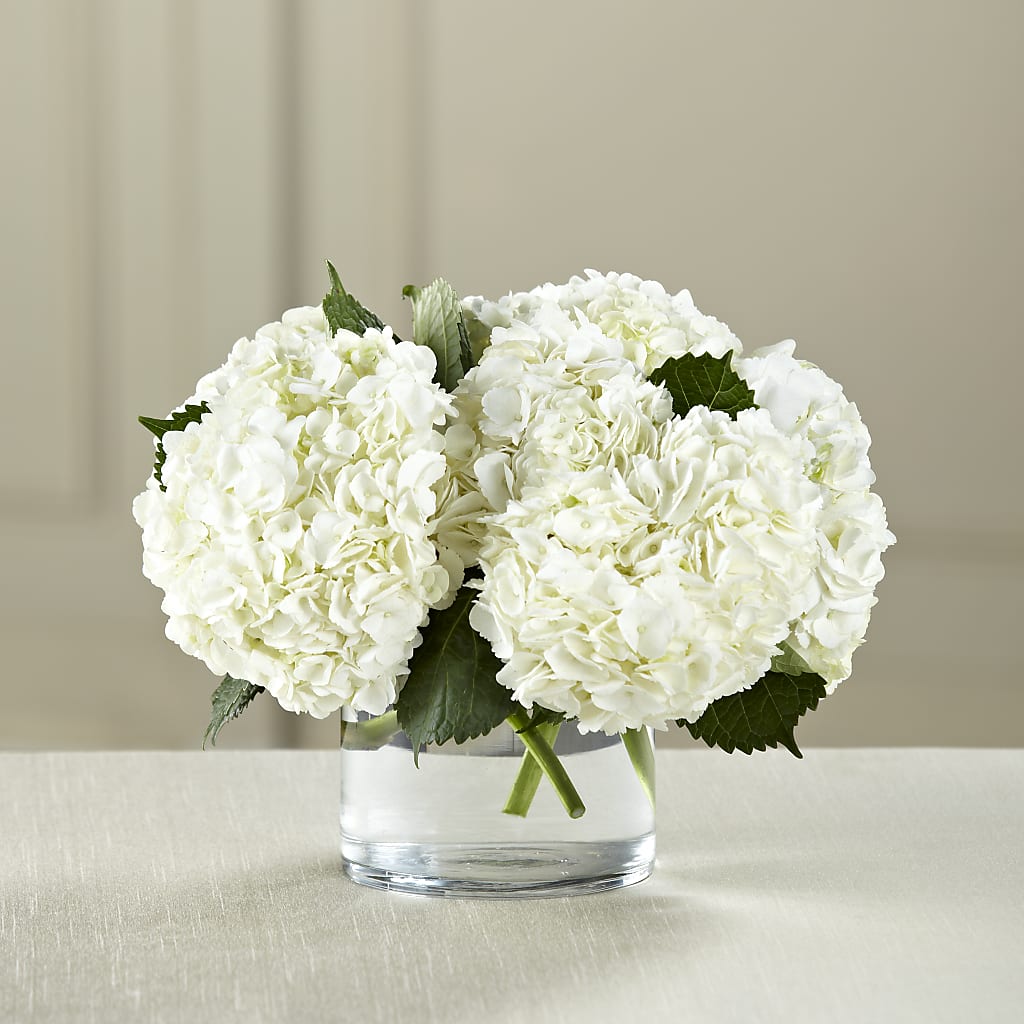 White Hydrangea Bouquet – Midnight Flowers And Events Llc, Lillington NC