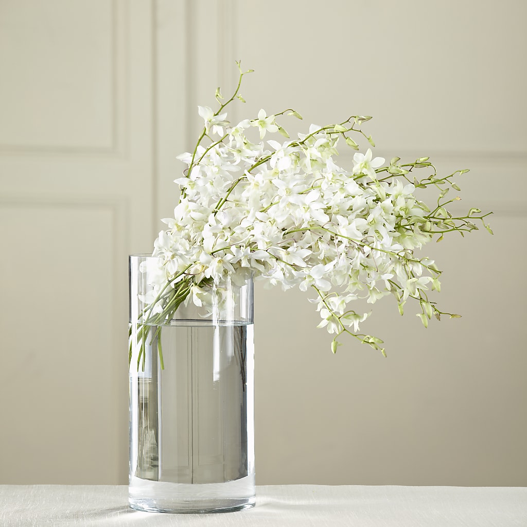 White Dendrobium Bouquet – Midnight Flowers And Events Llc, Lillington NC