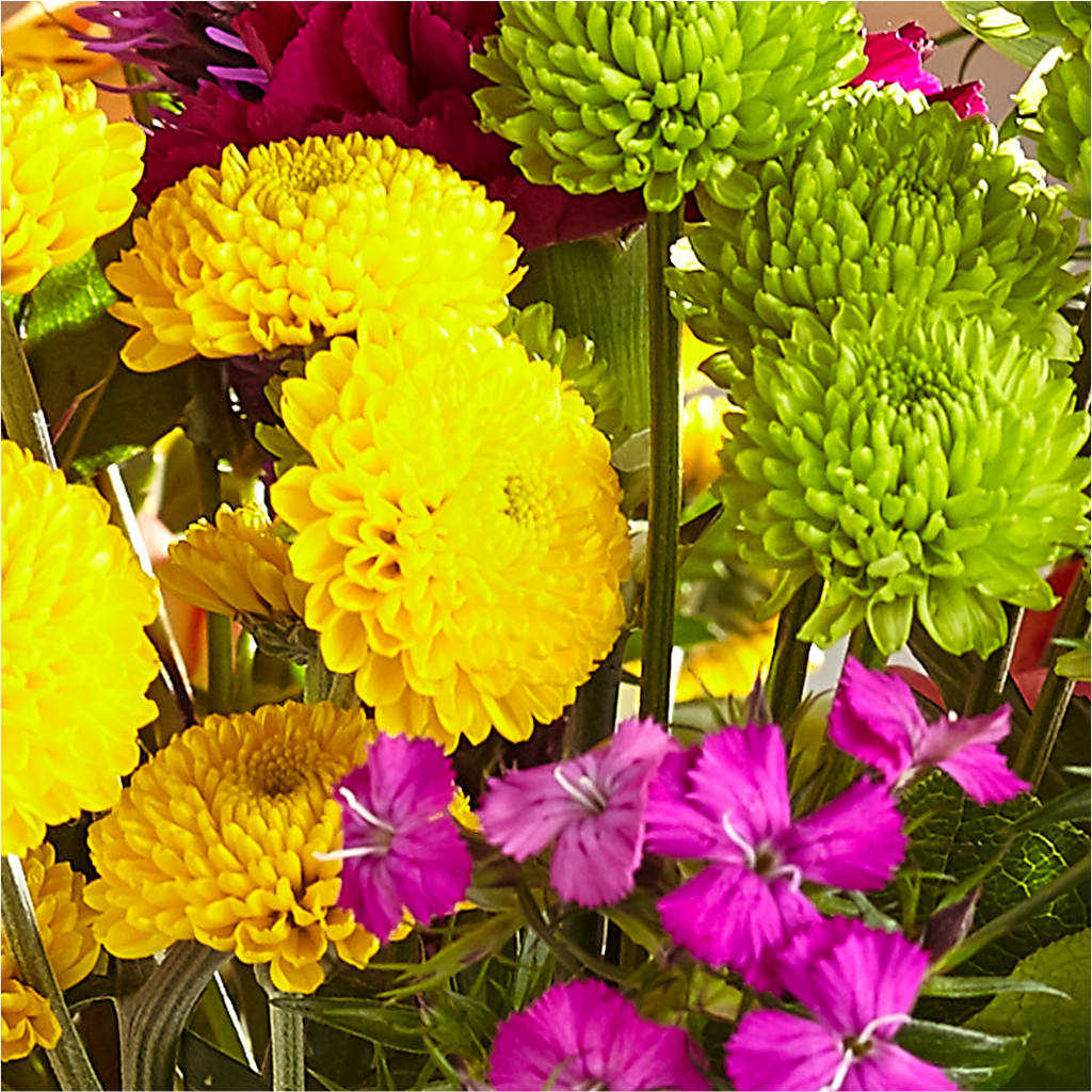Bold & Bright – A Florist Original –  Midnight Flowers And Events Llc, Lillington NC