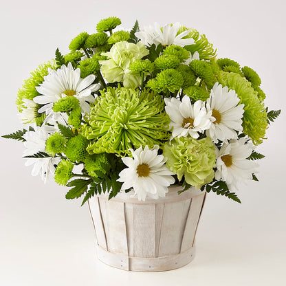 Lucky Charm Basket (Standard) –  Midnight Flowers And Events Llc, Lillington NC