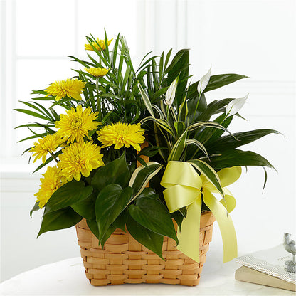 Loving Light Dishgarden –  Midnight Flowers And Events Llc, Lillington NC