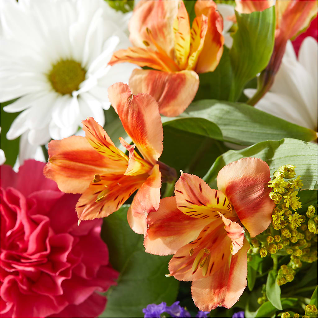 Oopsie Daisy Box Bouquet –  Midnight Flowers And Events Llc, Lillington NC