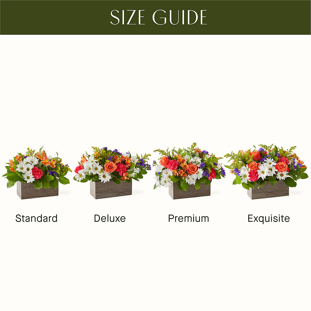 Oopsie Daisy Box Bouquet –  Midnight Flowers And Events Llc, Lillington NC