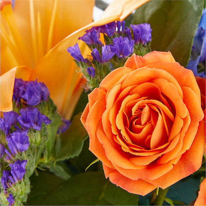 Radiant Citrus Box Bouquet –  Midnight Flowers And Events Llc, Lillington NC