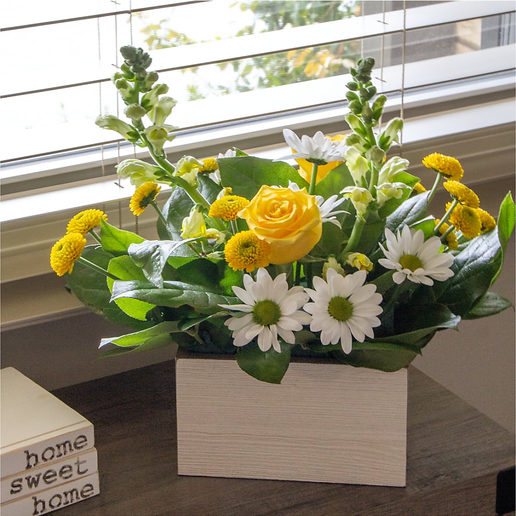 Sun Salutation Box Bouquet –  Midnight Flowers And Events Llc, Lillington NC