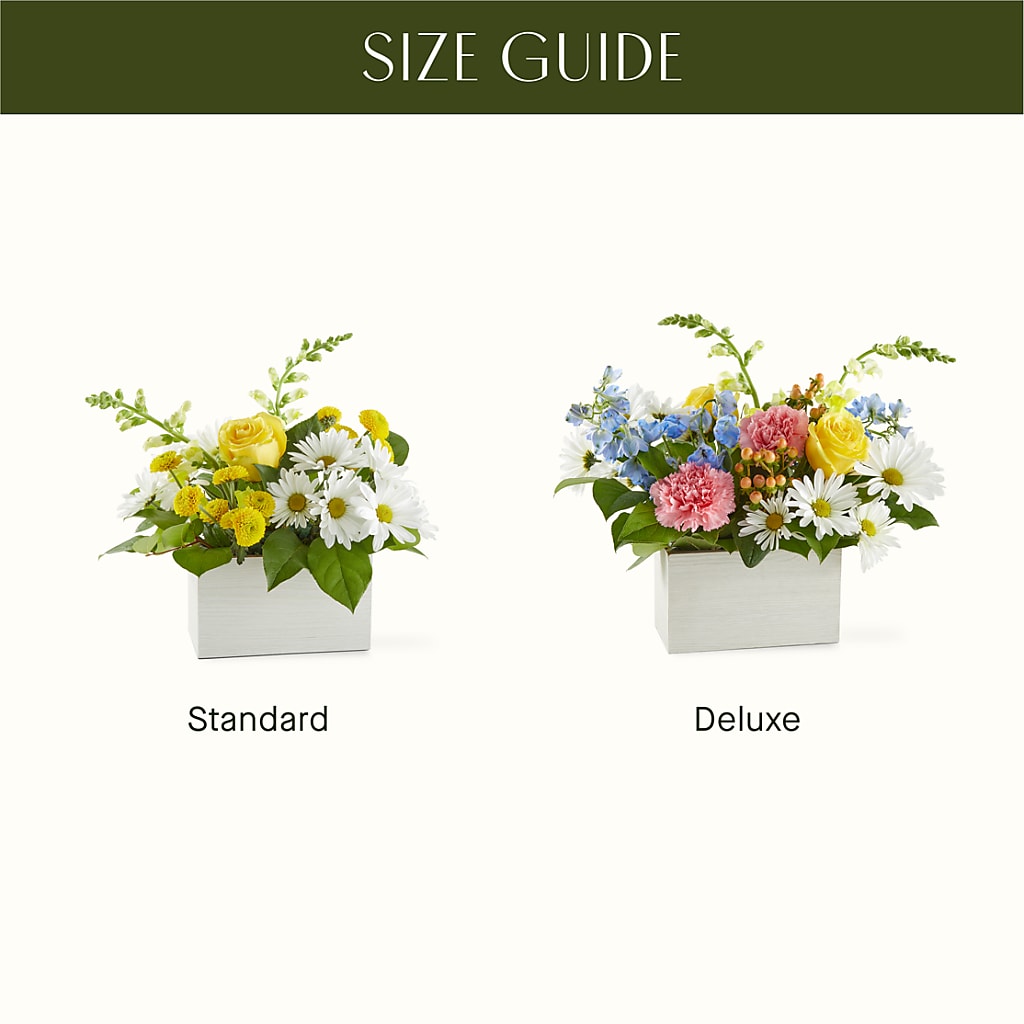 Sun Salutation Box Bouquet –  Midnight Flowers And Events Llc, Lillington NC