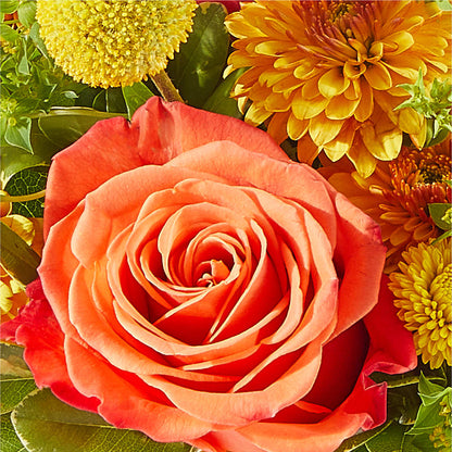 Gourdgeous Pumpkin –  Midnight Flowers And Events Llc, Lillington NC