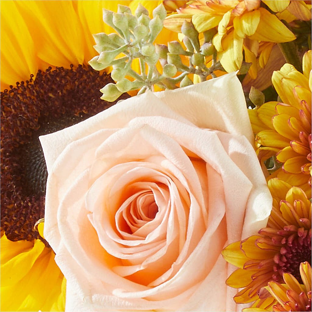 Pumpkin to Talk About Bouquet –  Midnight Flowers And Events Llc, Lillington NC