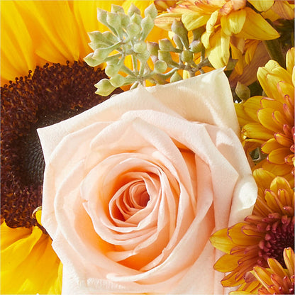 Pumpkin to Talk About Bouquet –  Midnight Flowers And Events Llc, Lillington NC