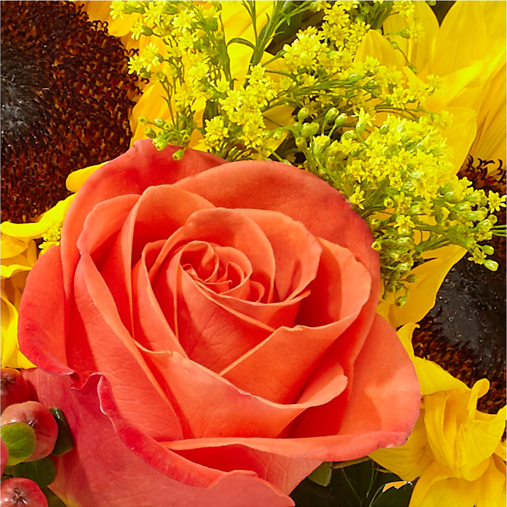 Pick of the Patch Pumpkin Bouquet –  Midnight Flowers And Events Llc, Lillington NC