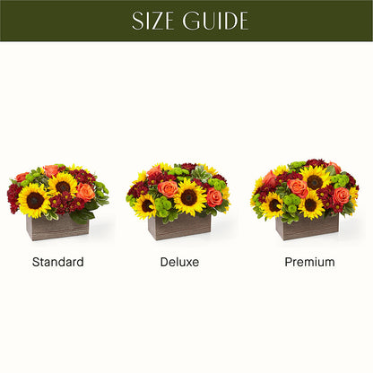 Happy Harvest Garden –  Midnight Flowers And Events Llc, Lillington NC