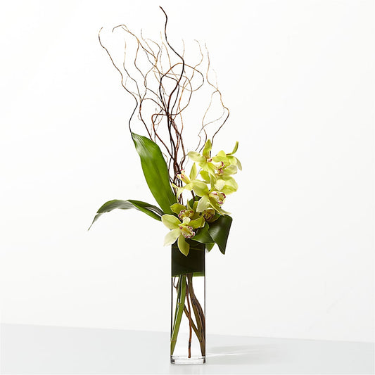 The Statement –  Midnight Flowers And Events Llc, Lillington NC
