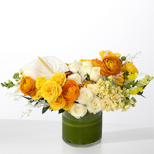 The Optimist –  Midnight Flowers And Events Llc, Lillington NC