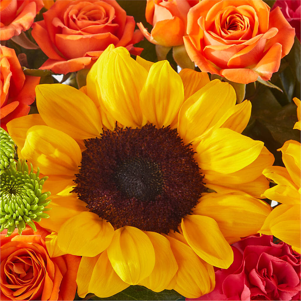 Sun-drenched Blooms Box Bouquet –  Midnight Flowers And Events Llc, Lillington NC