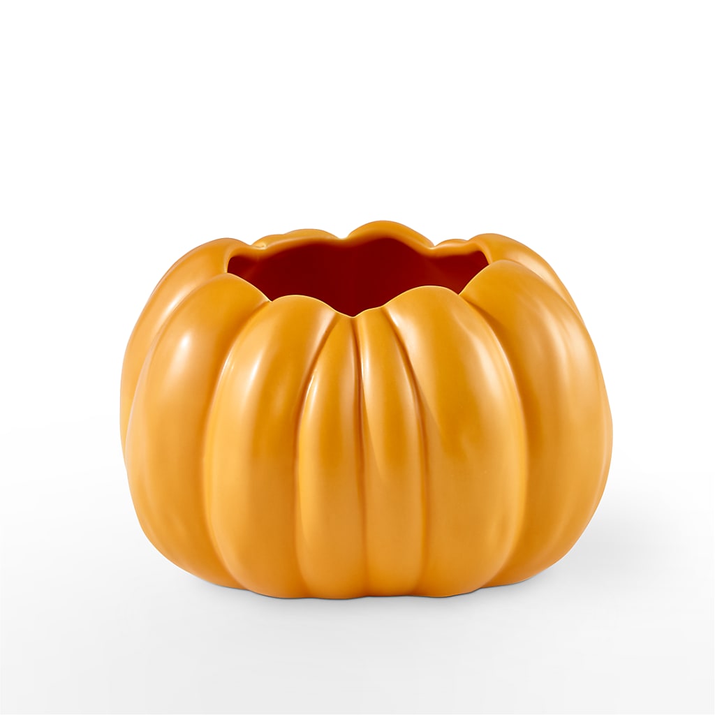 Pick of the Patch Pumpkin Bouquet –  Midnight Flowers And Events Llc, Lillington NC