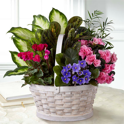 Peaceful Garden Planter –  Midnight Flowers And Events Llc, Lillington NC