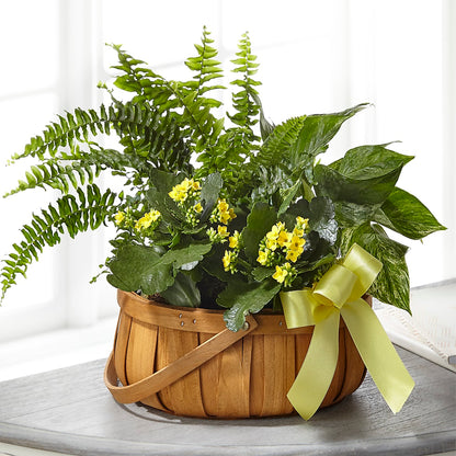 Always Dear Dishgarden –  Midnight Flowers And Events Llc, Lillington NC