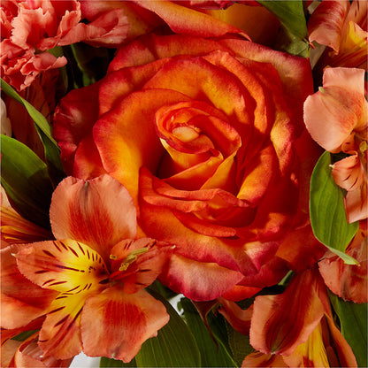 Apricot Glow Bouquet –  Midnight Flowers And Events Llc, Lillington NC