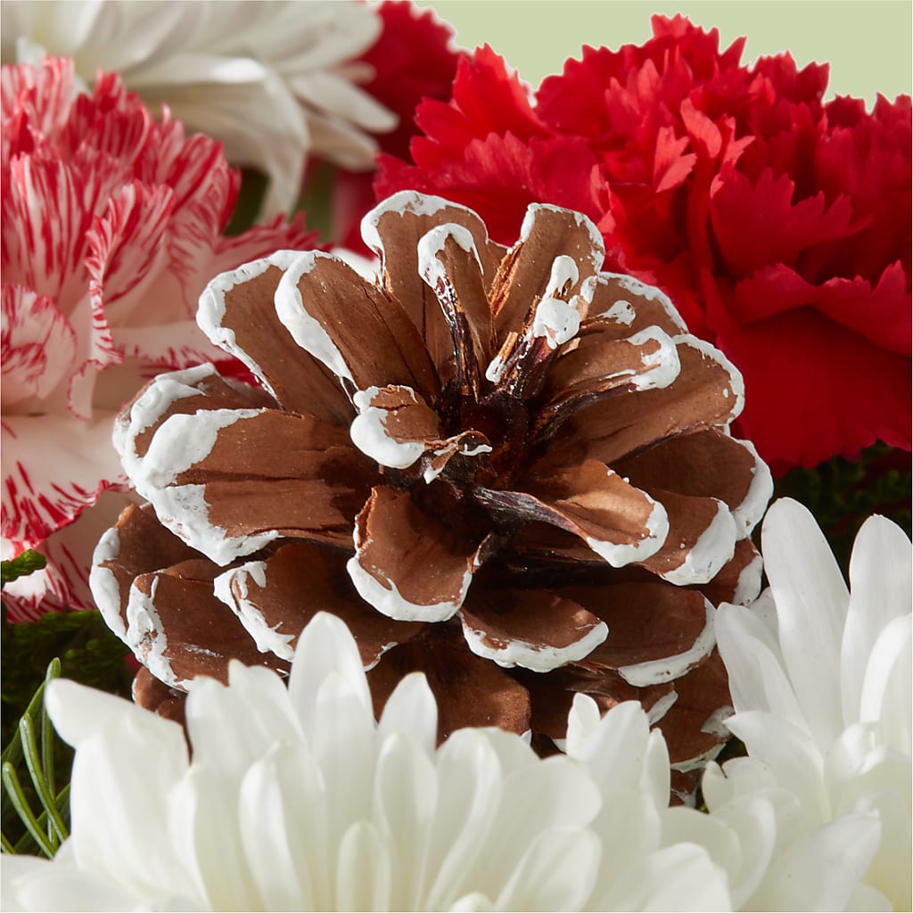 Candy Cane Lane Bouquet –  Midnight Flowers And Events Llc, Lillington NC