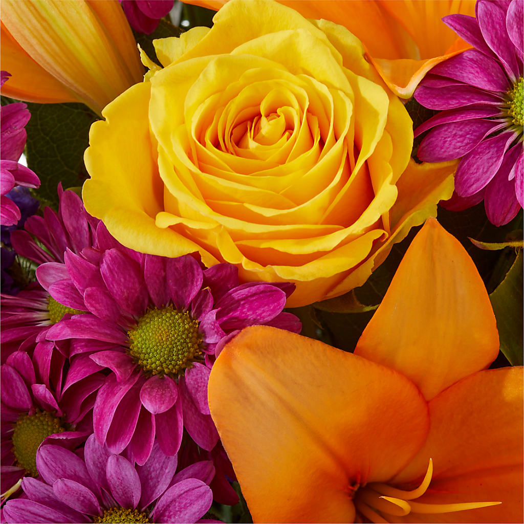 Colorful Visions Bouquet –  Midnight Flowers And Events Llc, Lillington NC