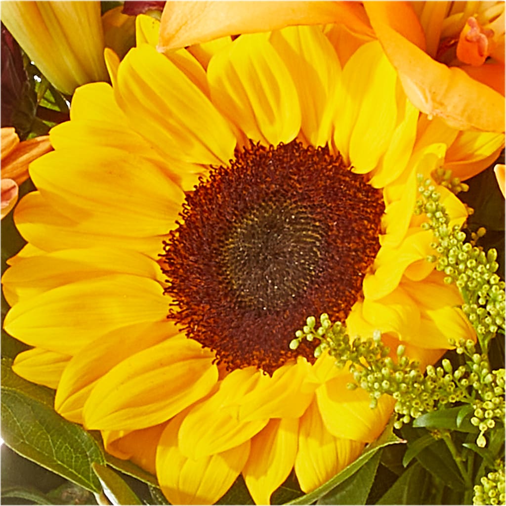 Seasons Change Bouquet –  Midnight Flowers And Events Llc, Lillington NC