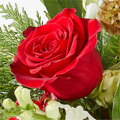 Deck the Halls Bouquet –  Midnight Flowers And Events Llc, Lillington NC