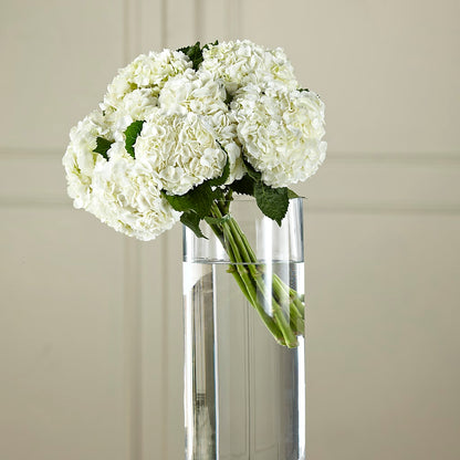 White Hydrangea Hand-Tied Bouquet –  Midnight Flowers And Events Llc, Lillington NC