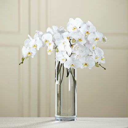 White Phalaenopsis Bouquet –  Midnight Flowers And Events Llc, Lillington NC